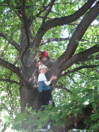 Abi & Koh up a tree